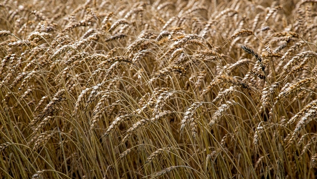 Eesti Põllumeeste Selts