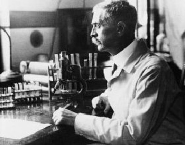 Se descubren los grupos sanguíneos