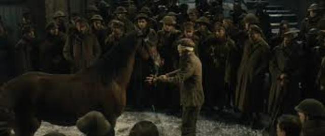 Joey is bought in horse sale by old german man