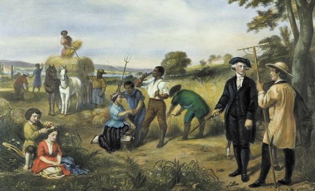 Martha's slaves are set free