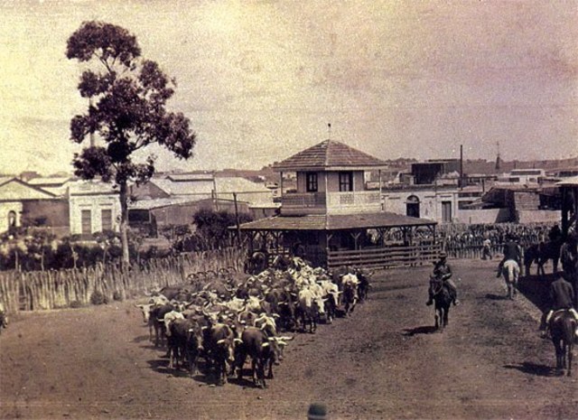 Argentina Agroexportadora