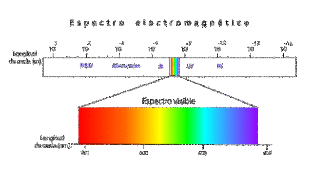 Encuetran los rayos X