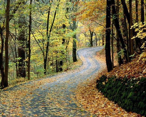 El caballero recorre el Sendero de la Verdad