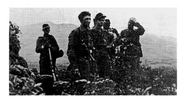 Recognized Bosnia Independence.