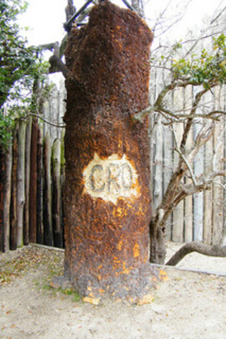 CRO carved in a tree