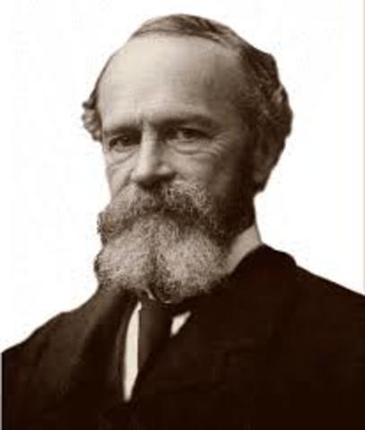 Уильям джеймс 1842-1910. Уильямс джеймс. Уильям джеймс. Уильям джеймс философ. Вильям джеймс.