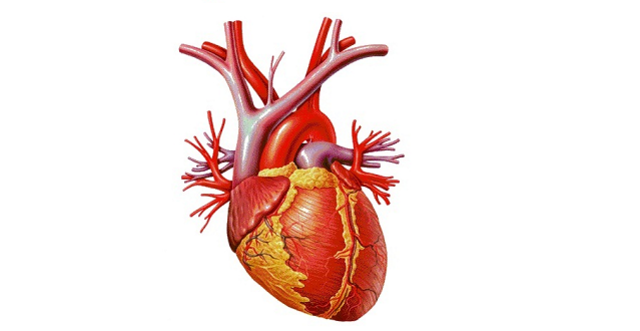 Sustitución del corazón