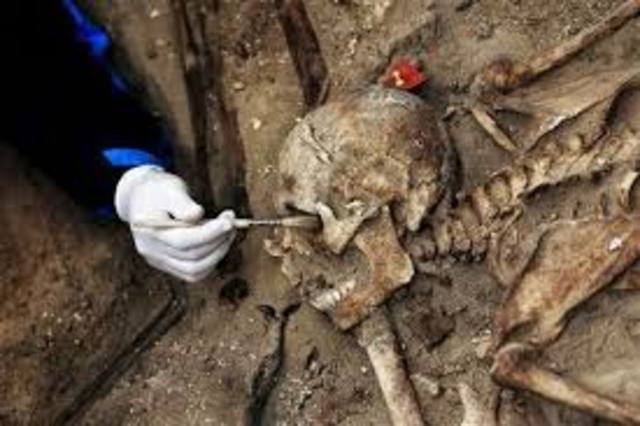 Resultados de la exhumación