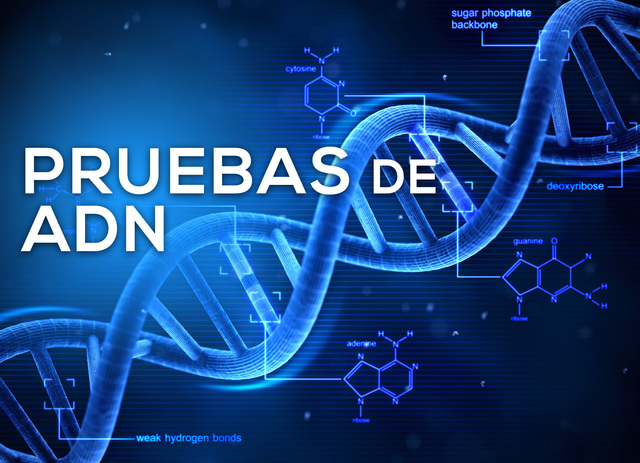 Pariente de Voltaire