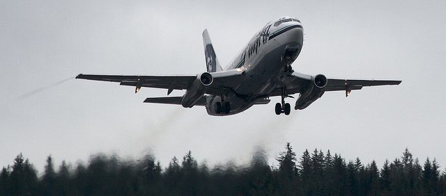 Los cabellos son de la madre de Voltaire