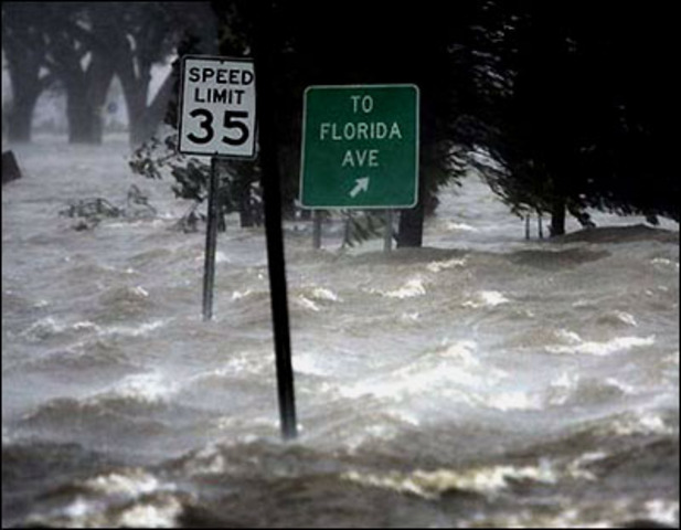 Massive Hurricanes Decimate Florida
