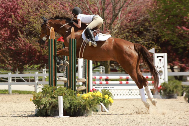 ¿Con qué frecuencia a veces?