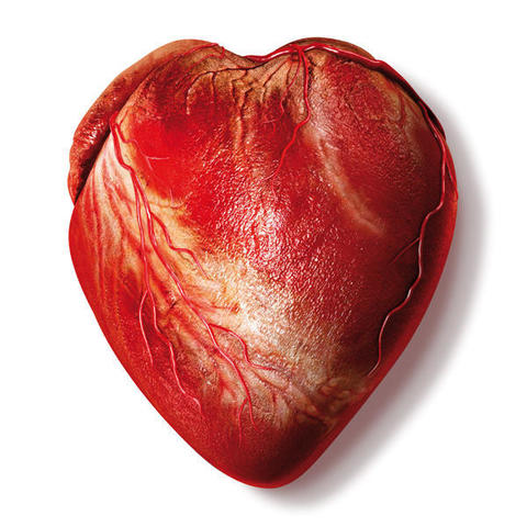 Ese corazon es de Voltaire