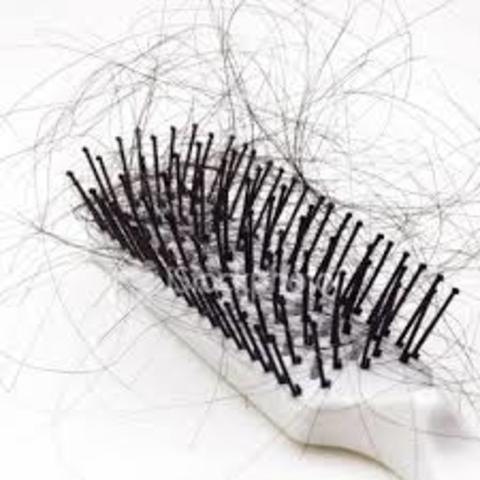 Daumart es pariente de la madre de Voltaire