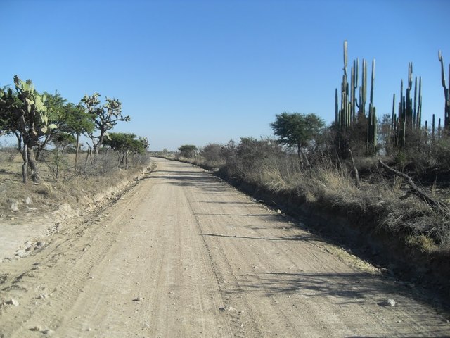 Soledades II "He andado muchos caminos"