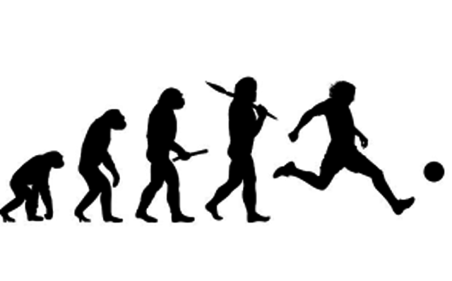 Human Evolution