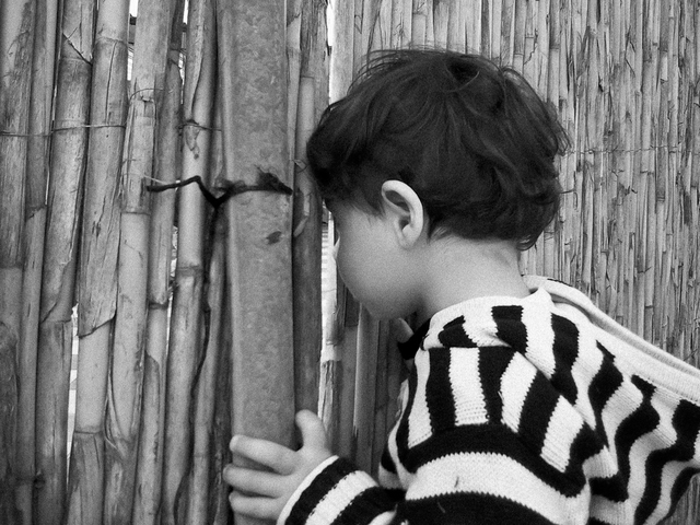 Curiosidades de Gustave