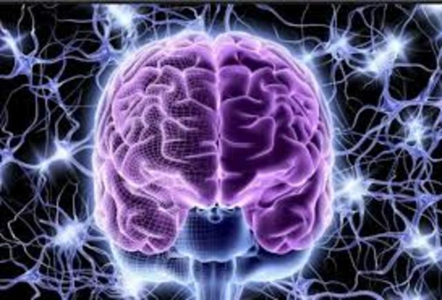 Tecnología neumoformica