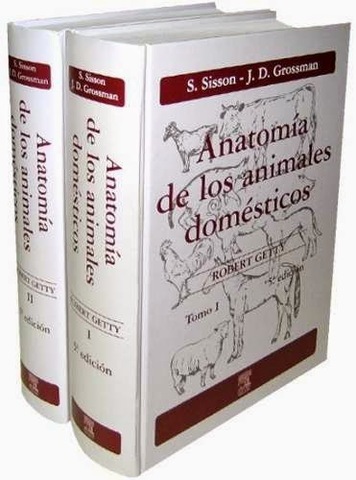 Anatomía de los animales domésticos