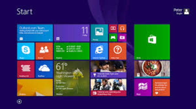WINDOWS 8.1