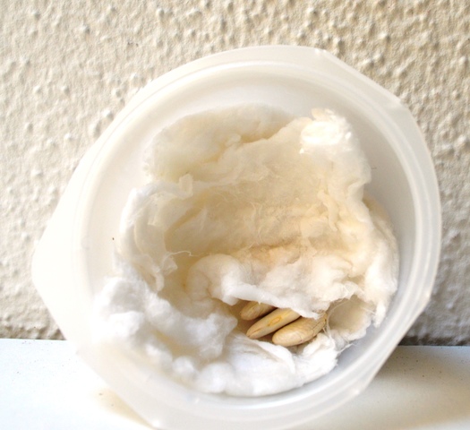 Com surtiré d'aquí?