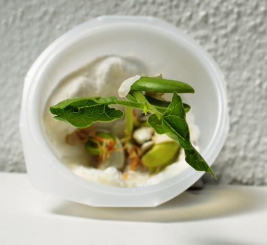 Com surtiré d'aquí?