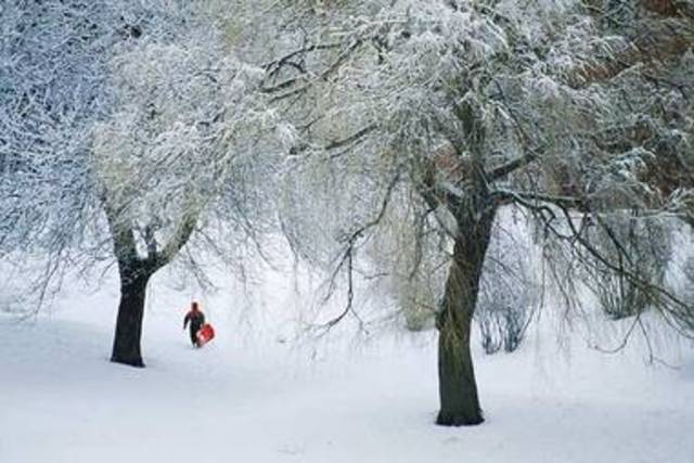 Jonas Hides From Planes Passing By
