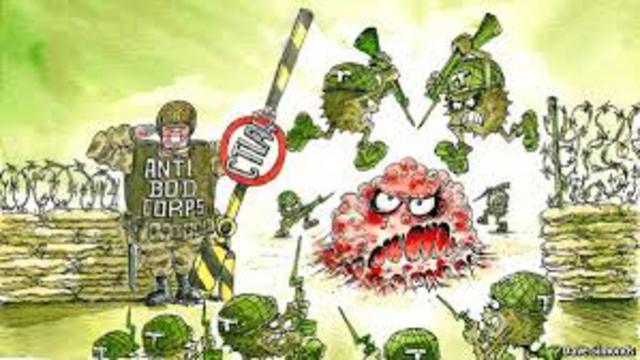 National Cancer Becomes Law