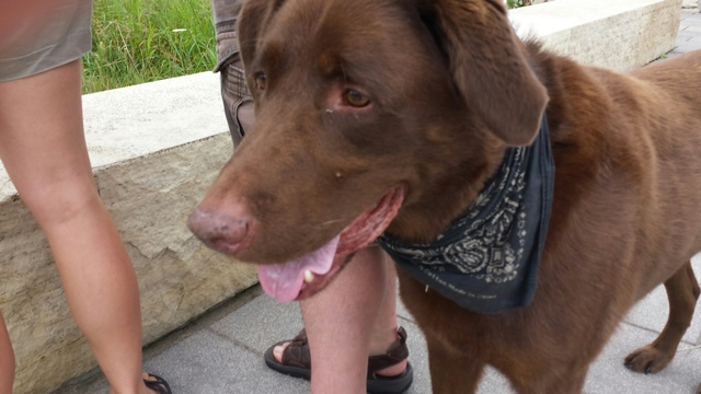 Wir haben Rosco gefunden.