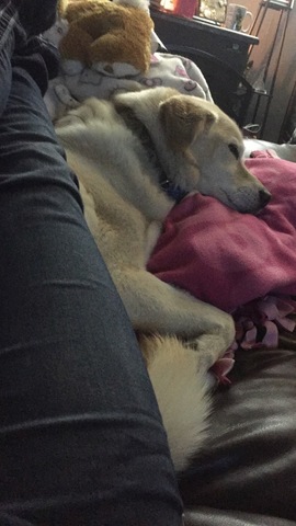 Wir haben Jack gefunden.