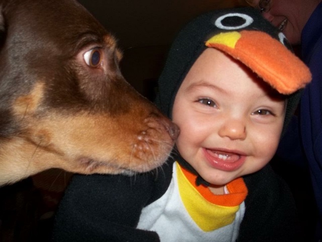 Meiner Hunden hat gestorben.