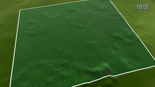 4,200 Kilometers Squared Cleared