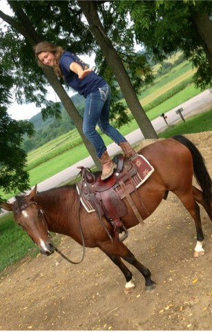 Ich habe ein Pferd bekommen.