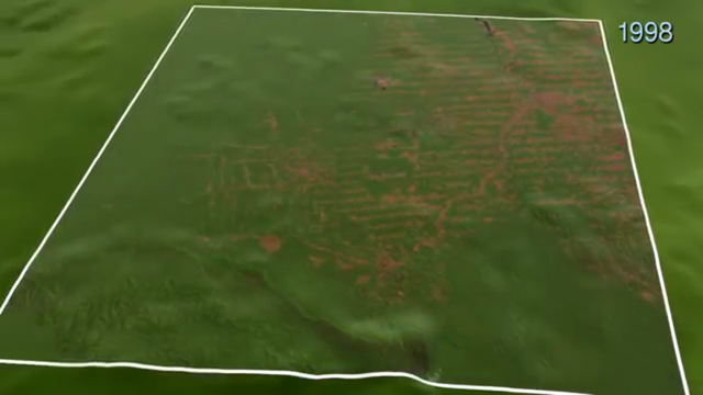 53,300 Kilometers Squared Cleared by 1998