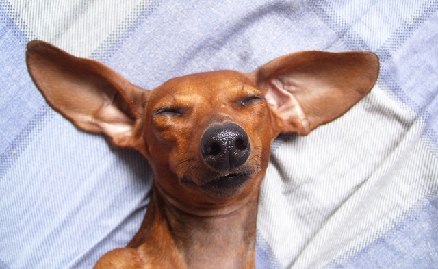 День пожилого человека