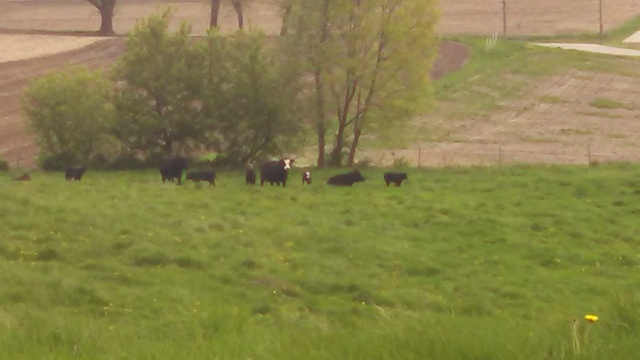 Hilda had eine farse