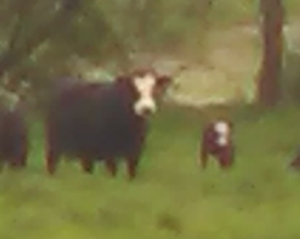 7 Up brach sich ihr Bein