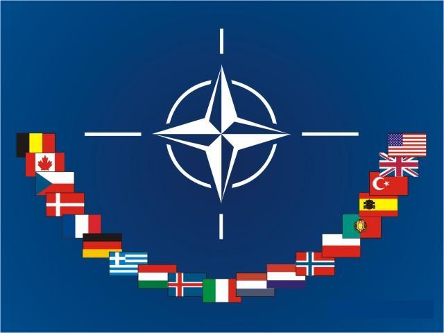 North Atlantic Treaty Organization (NATO).