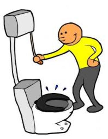 flush toilet invention