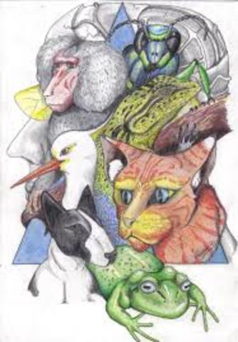 Robert M. Yerkes investigación en psicología comparada