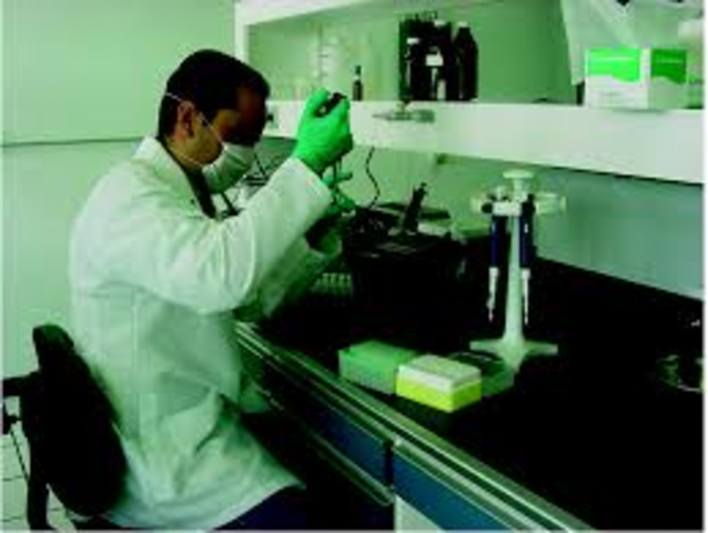 Daumart es un bastardo