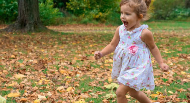 24-30 months Physical Development