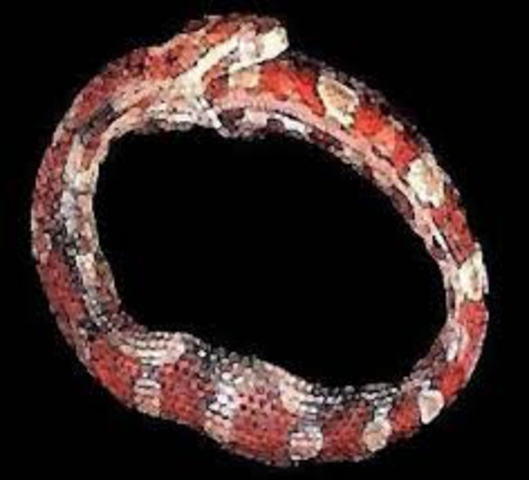 Cooter and Elijah discover fatal hoop snakes in their yard. (FICTION)