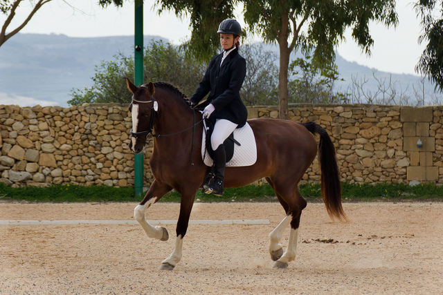 ¿Con qué frecuencia siempre?