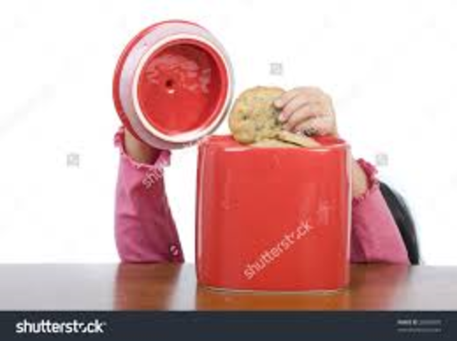 Eliajh reaches into the cookie jar and pulls out a huge snake. (FICTION)