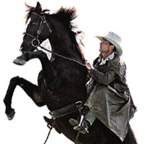 harbour bridge disrupption