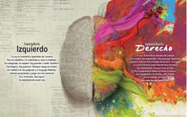 Teoría de los hemisferios cerebrales