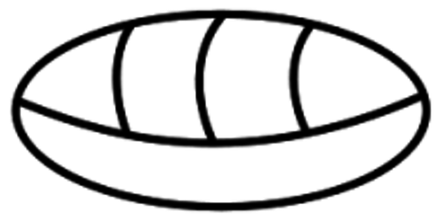 Los Mayas y la creación del Cero