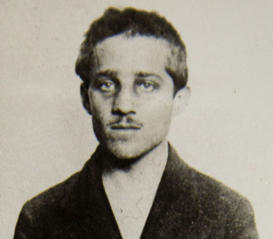 Gavrilo Princip fired two shots