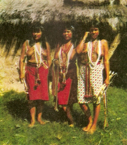 pueblos orirginarios